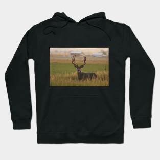 Morning Light Mule Buck Hoodie